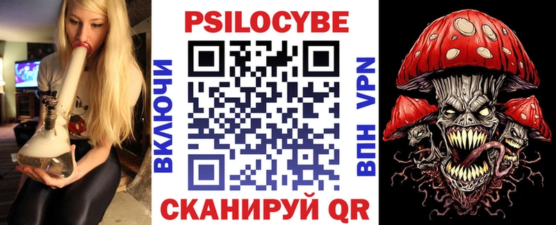 Псилоцибиновые грибы Cubensis  Ставрополь 