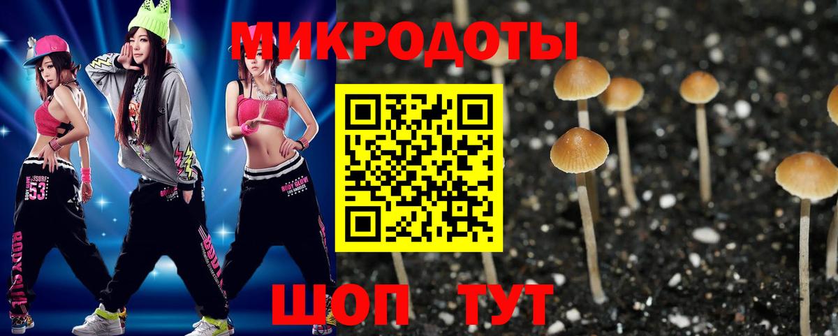 магазин продажи наркотиков  Галлюциногенные грибы GOLDEN TEACHER  Вход с VPN  Ставрополь 